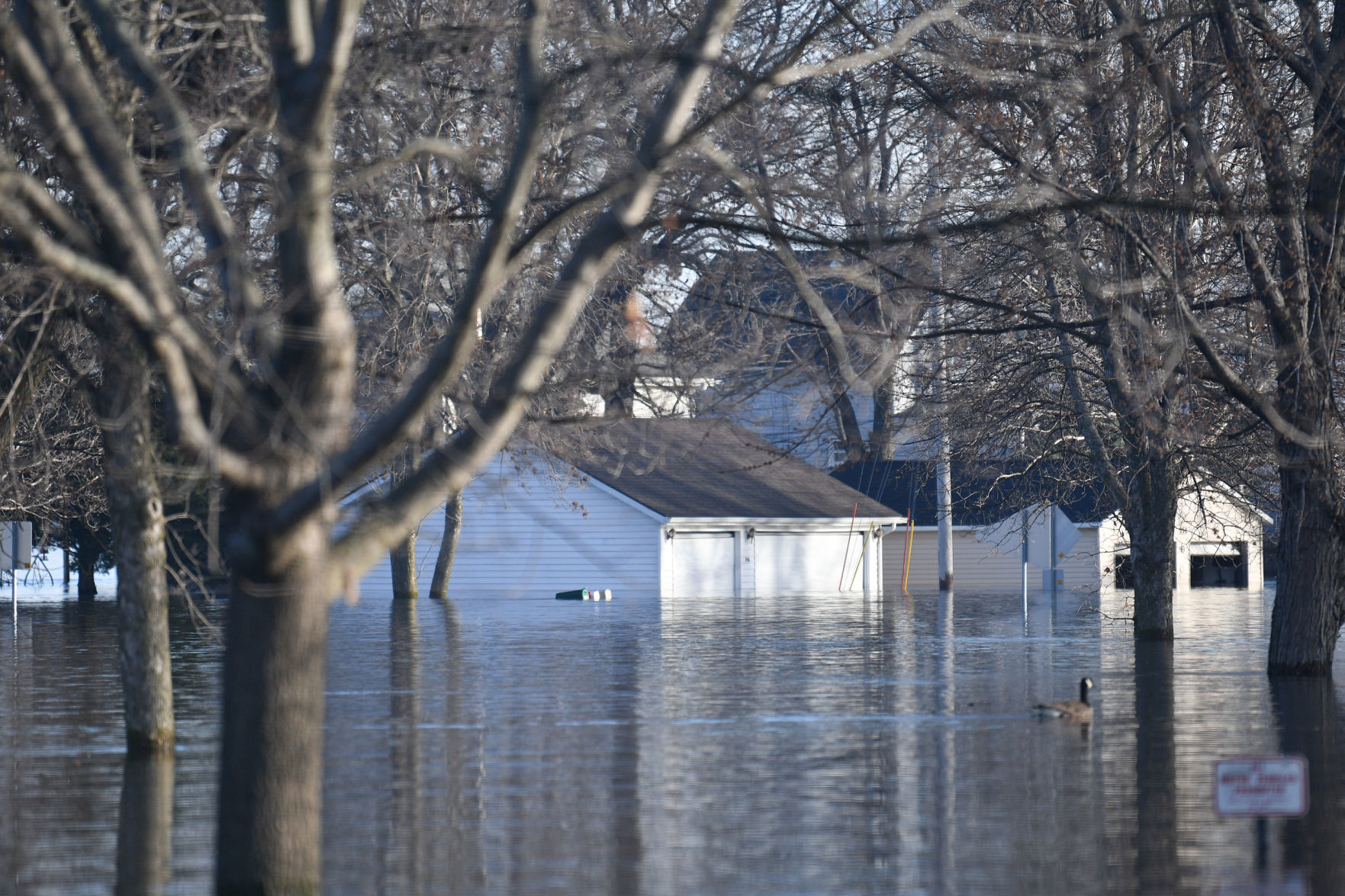 Flooding on Campbell's Island